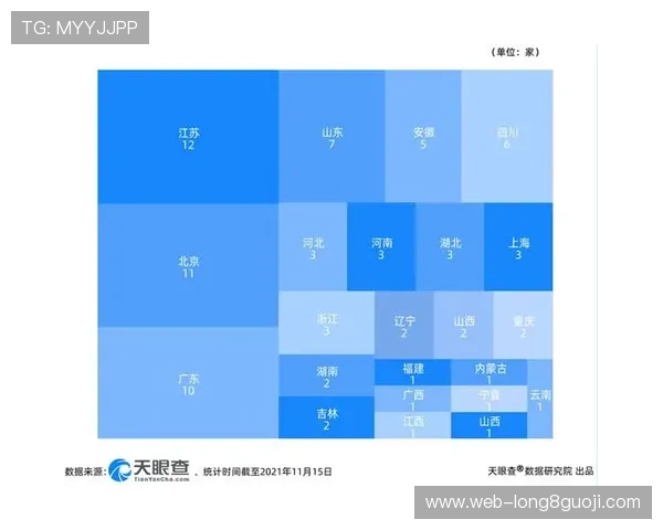 从攻防效率到青训潜力透视北京足球联赛球队数据与城市足球生态演变 从攻防效率到青训潜力透视北京足球联赛球队数据与城市足球生态演变